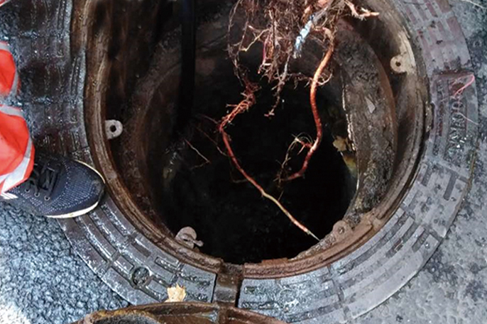 梨树管道预处理